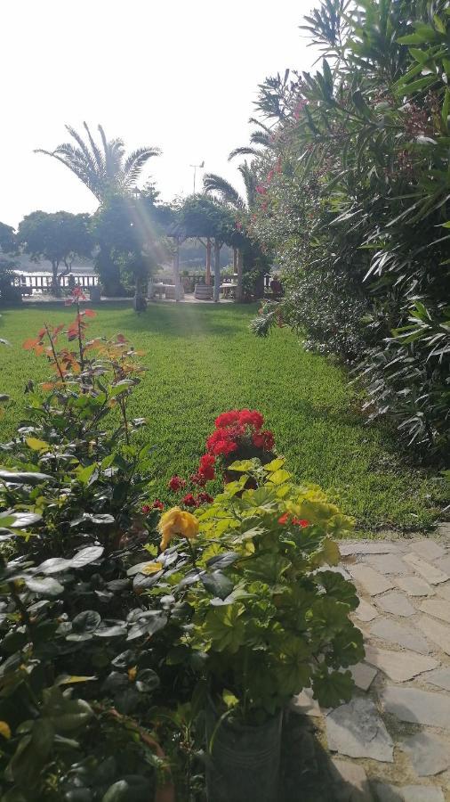 Dionisis Apartments Κουνόπετρα Εξωτερικό φωτογραφία