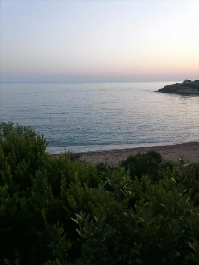 Dionisis Apartments Κουνόπετρα Εξωτερικό φωτογραφία