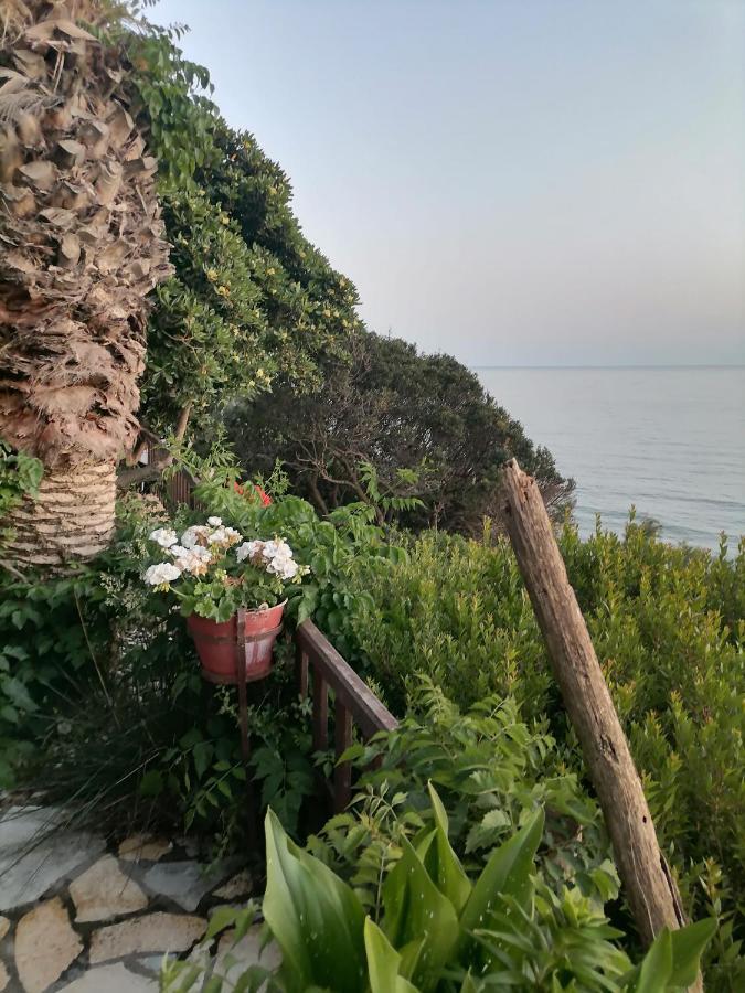 Dionisis Apartments Κουνόπετρα Εξωτερικό φωτογραφία