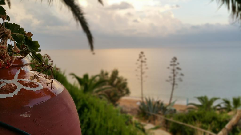Dionisis Apartments Κουνόπετρα Εξωτερικό φωτογραφία